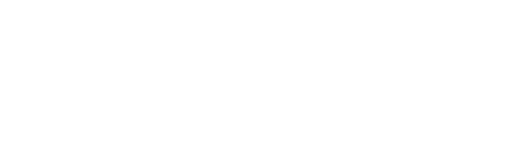 ions-logo-white